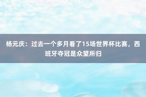 杨元庆：过去一个多月看了15场世界杯比赛，西班牙夺冠是众望所归